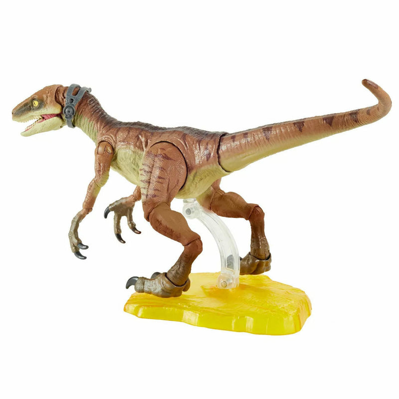 Jurassic World Amber Collection Velociraptor Echo Dinosaur - NIB