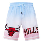 Chicago bulls shorts