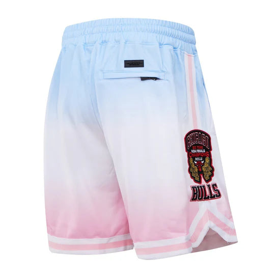 Chicago bulls shorts