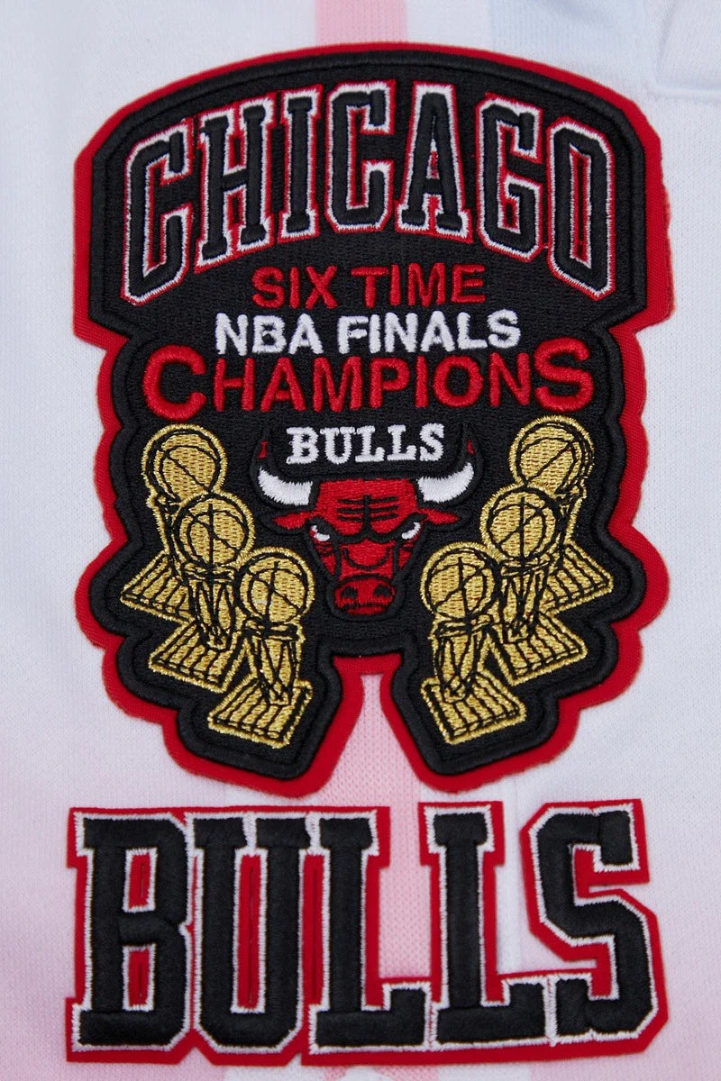 Chicago bulls shorts