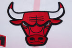 Chicago bulls shorts