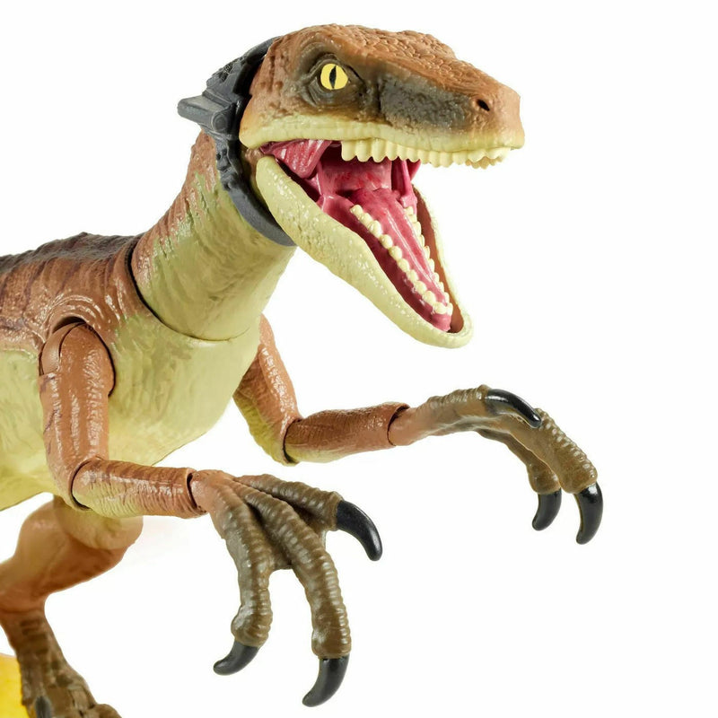 Jurassic World Amber Collection Velociraptor Echo Dinosaur
